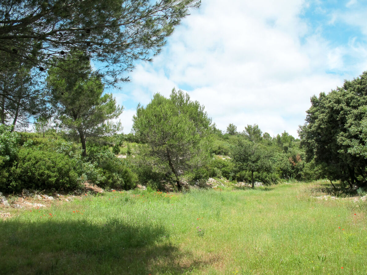 Les Garrigues d'Ozilhan – Maison 8 pers. piscine - Photo 38