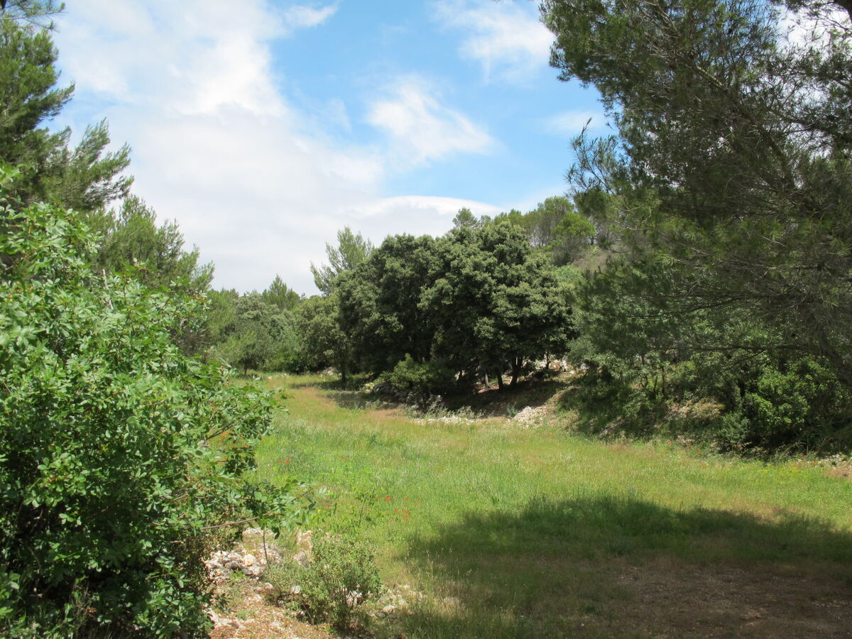 Les Garrigues d'Ozilhan – Maison 8 pers. piscine - Photo 41