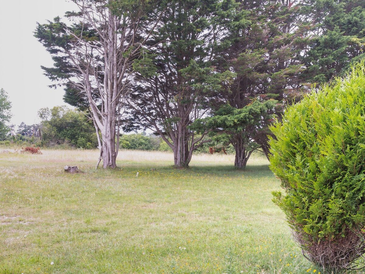 Les mielles – Maison 6 pers. à Saint-Rémy-des-Landes - Photo 6