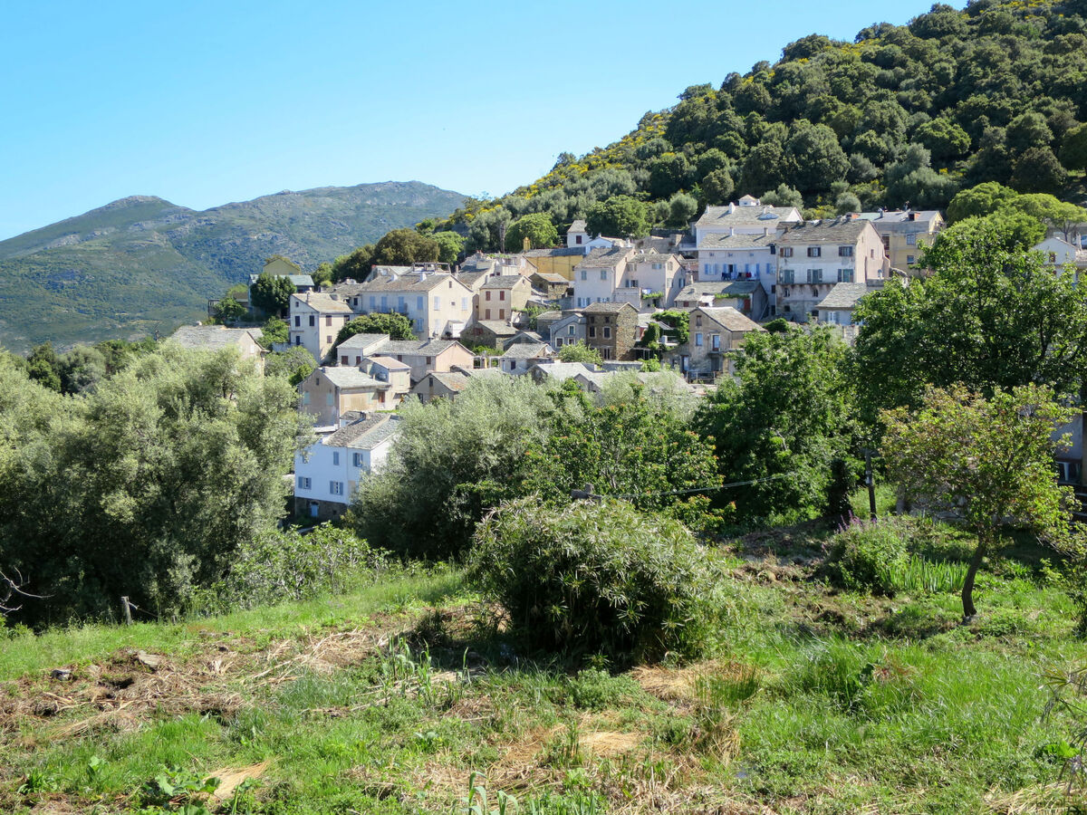 Maison Balbi - Vue panoramique mer, piscine et terrasse - Photo 32