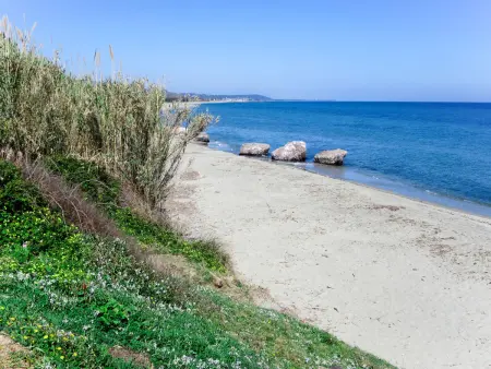 Maison 6 pers. avec piscine à Prunete, 350 m mer : photo 29