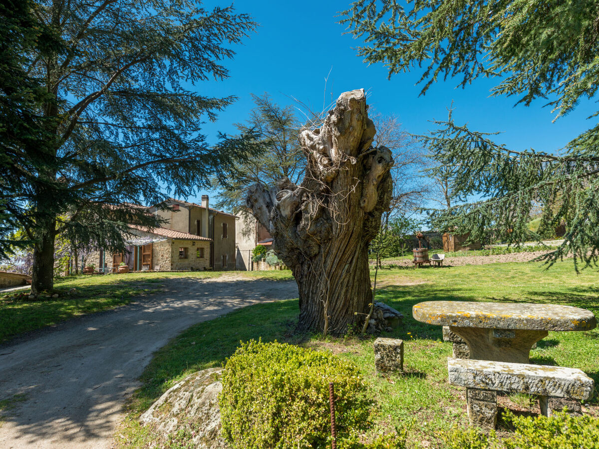 La Casetta, maison 85 m² en Toscane avec vue panoramique - Photo 31