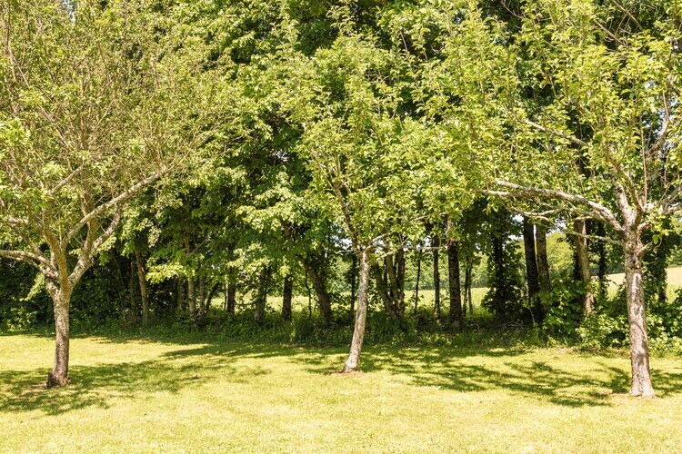 Le Phénix – Gîte avec piscine en Dordogne - Photo 21