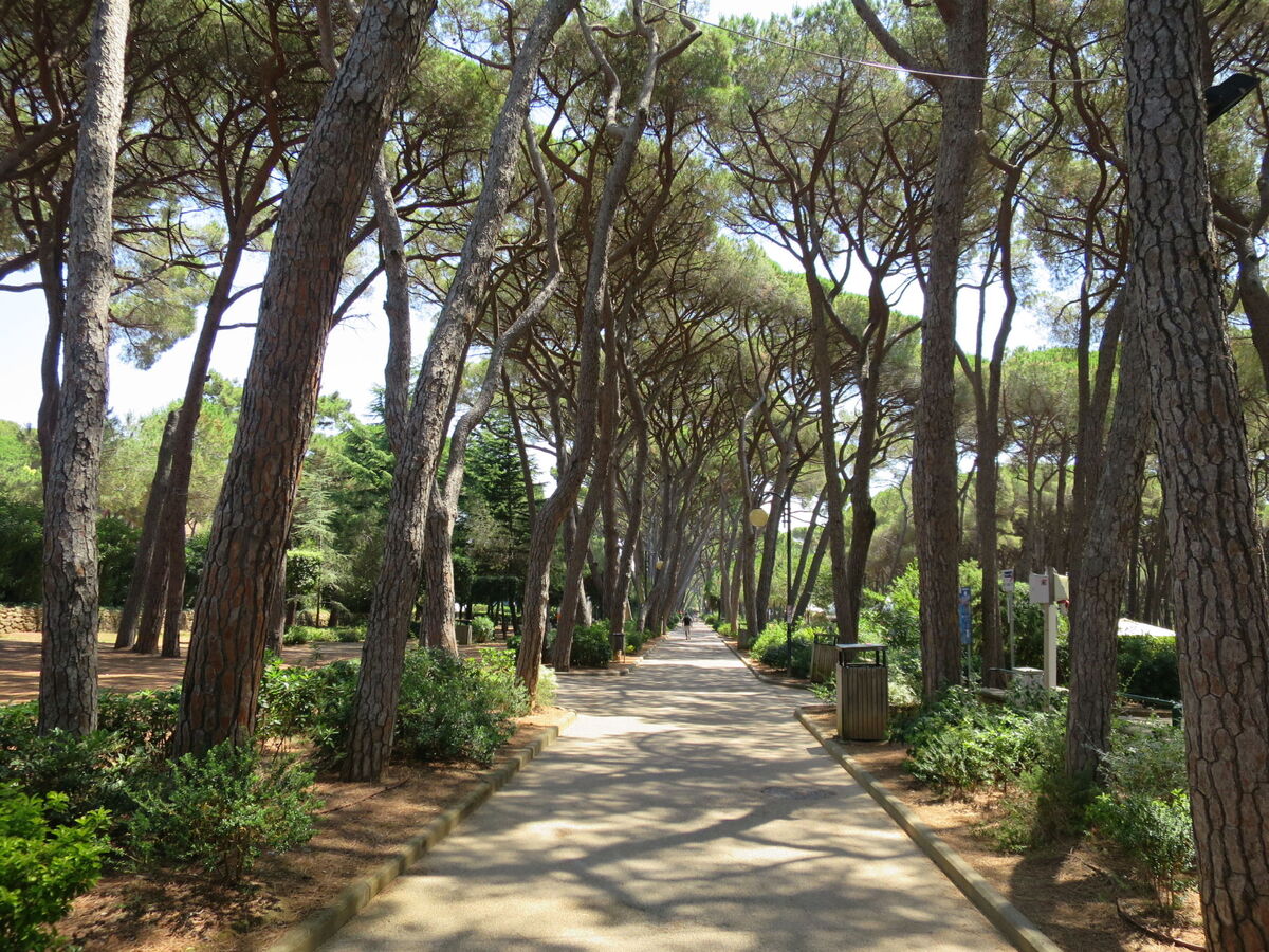 La Casa Vivente, villa 8 pers. piscine Castiglioncello - Photo 31