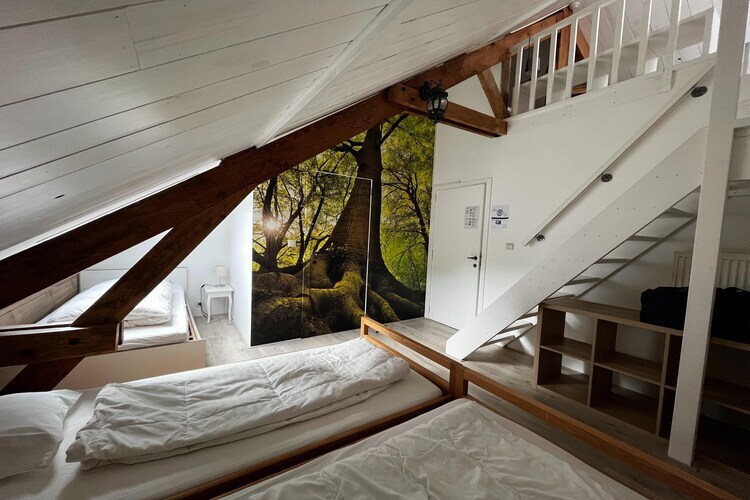 La Halte d'Ardennes, gîte 22 pers. avec piscine couverte - Photo 28