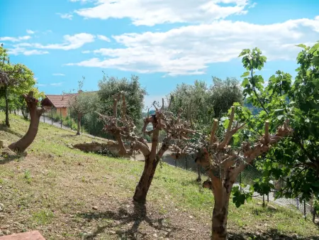 Ludovica, Location Maison 6 personnes à Soldano - Photo 16