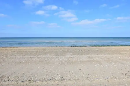 Maison pieds dans l'eau à Ravenoville-Plage : photo 10