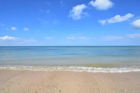 Maison pieds dans l'eau à Ravenoville-Plage : photo 11