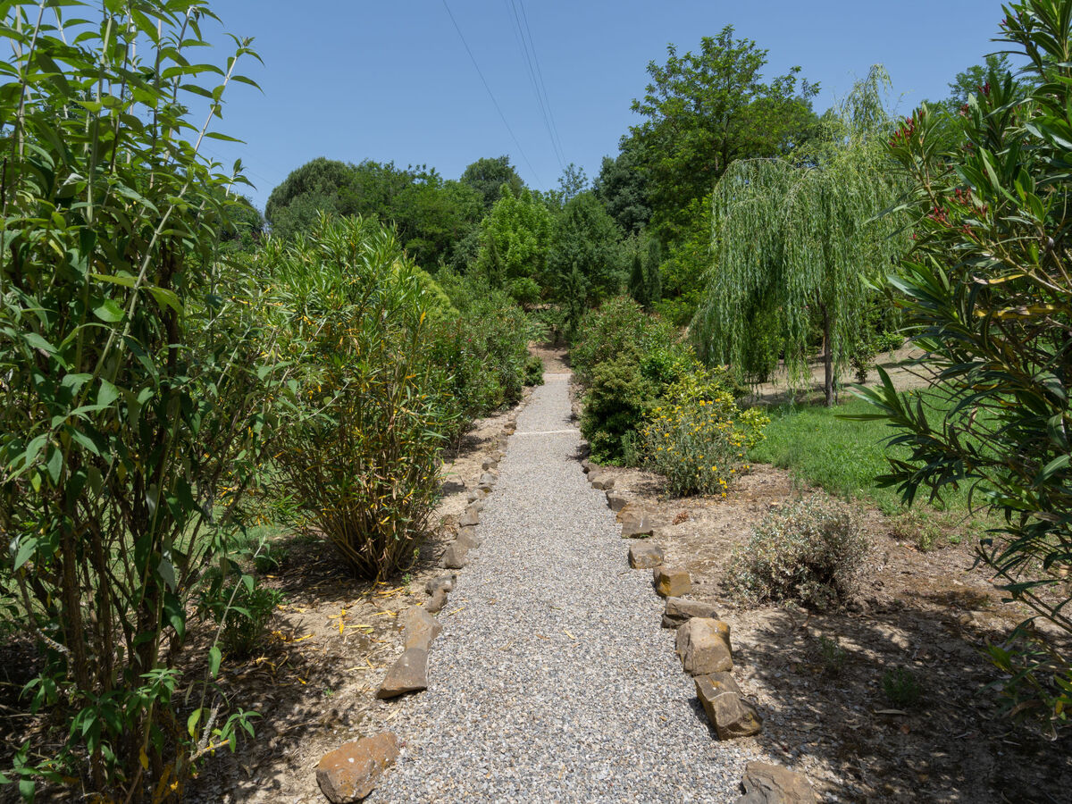 Villa Lavinia – Gîte 12 pers. avec piscine à Montevarchi - Photo 38