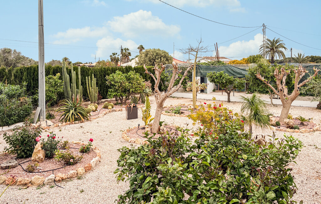 Maison 23 personnes à La Marina, Elche - Photo 21
