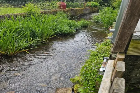 Villa 8 pers. à Florenville, kayak et nature en Gaume : photo 36