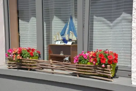 Villa 8 pers. à Florenville, kayak et nature en Gaume : photo 43