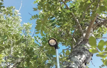 Petite finca écologique avec vue mer à Son Carrió : photo 9