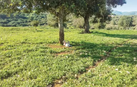 Petite finca écologique avec vue mer à Son Carrió : photo 18