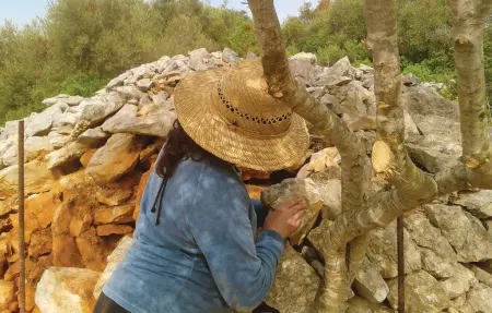 Petite finca écologique avec vue mer à Son Carrió : photo 19