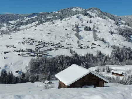 Hubertus A, Appartement 3 personnes à Habkern - Photo 16