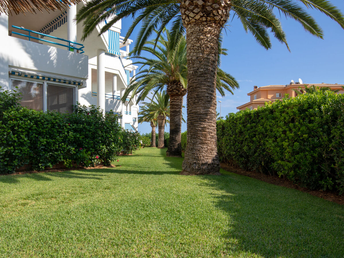 La Senia, appartement 4 pers. à 60 m de la mer - Photo 21