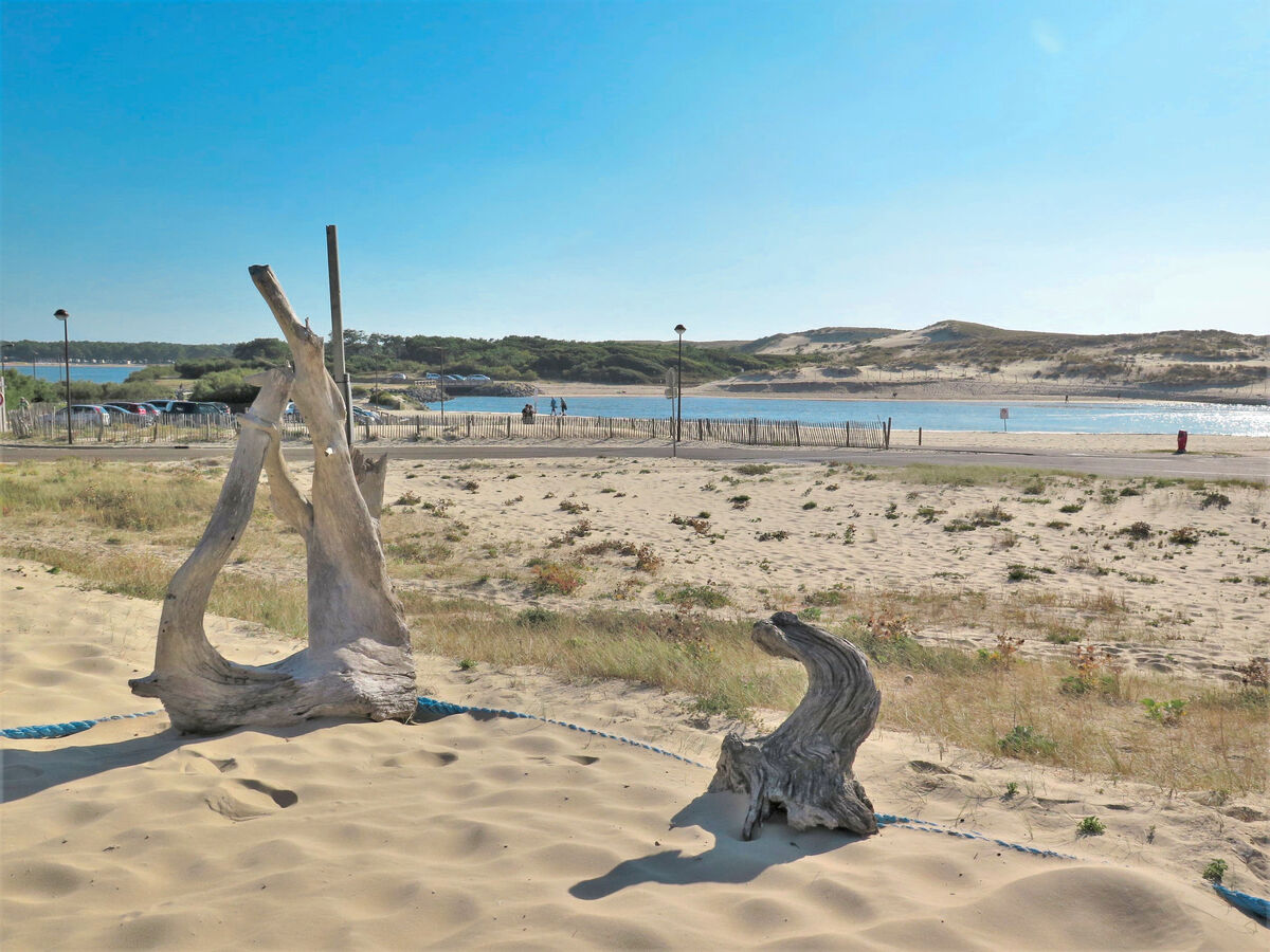 Les Baïnes – Maison jumelée avec piscine à 300 m de la mer - Photo 31