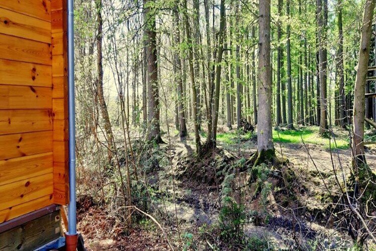 Chalet en rondins 6 personnes à Oignies - Photo 15