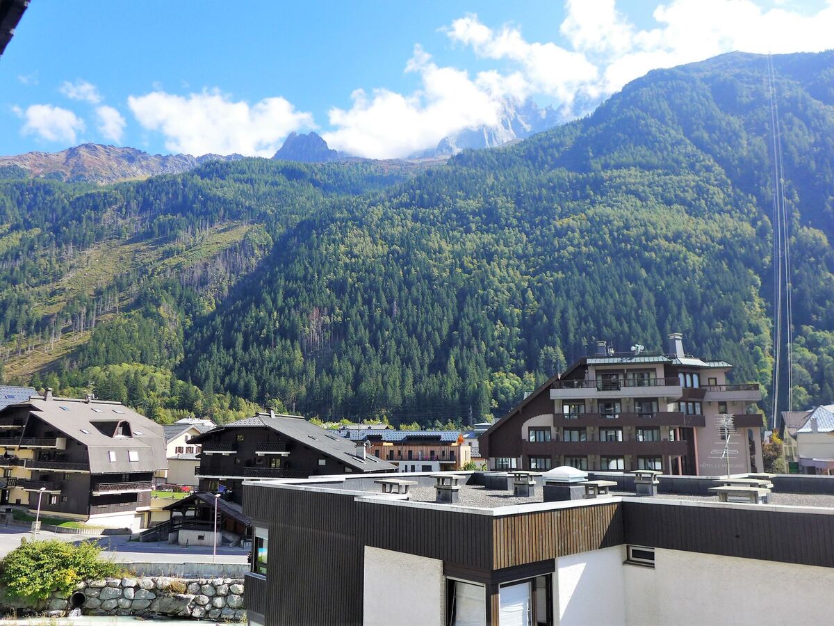 Studio 28 m² vue montagne à Chamonix - Photo 14