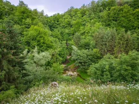 Maison Tina avec piscine privée à Ogulin : photo 36