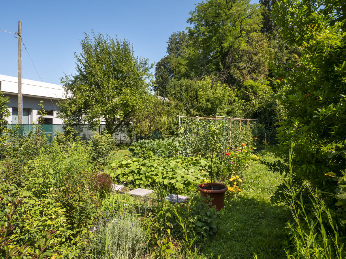 Casa Con Le Rose - Maison 5 pers. à San Daniele - Photo 27