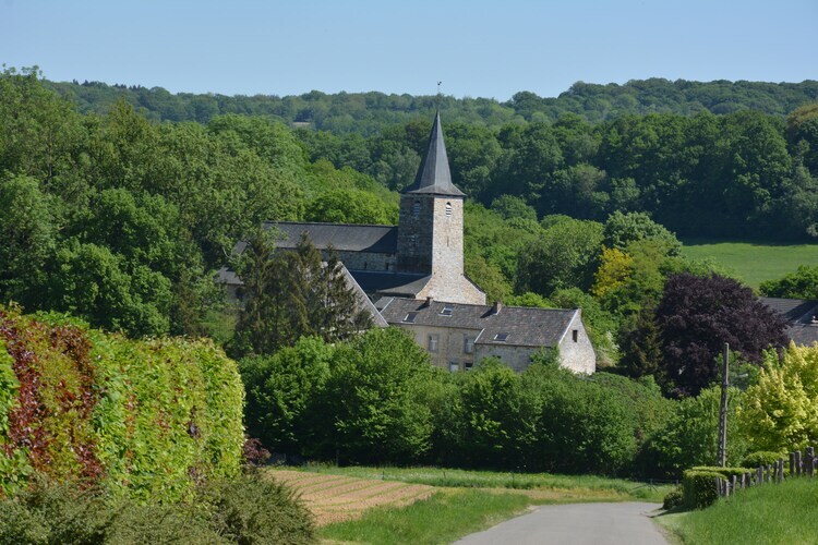 Li Moiny, maison 8 pers. avec sauna à La Roche-en-Ardenne - Photo 22
