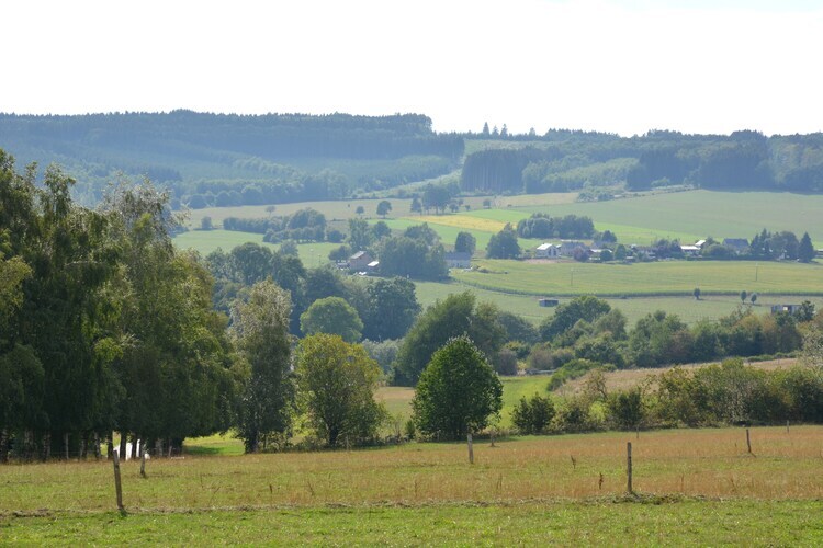 Li Moiny, maison 8 pers. avec sauna à La Roche-en-Ardenne - Photo 23