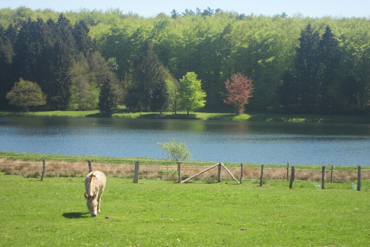 Li Moiny, maison 8 pers. avec sauna à La Roche-en-Ardenne - Photo 24