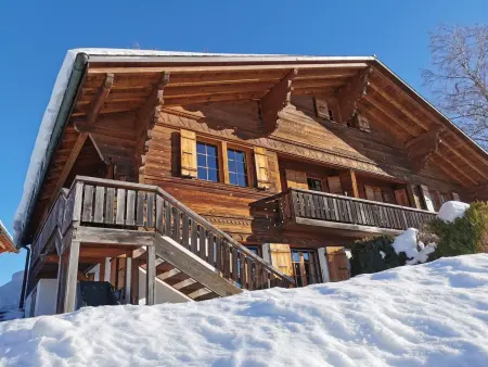 Les Hivernants (EG links), Appartement 3 personnes à Schönried - Photo 1