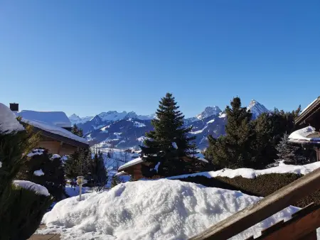 Les Hivernants (EG links), Appartement 3 personnes à Schönried - Photo 2