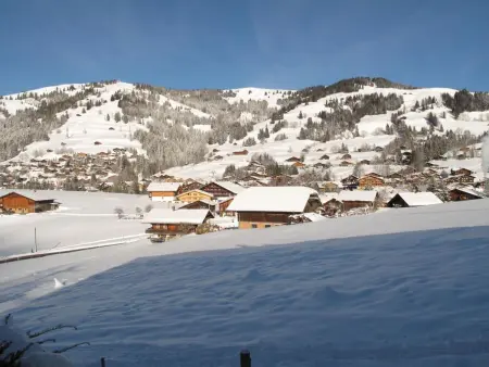 Les Hivernants (EG links), Appartement 3 personnes à Schönried - Photo 3