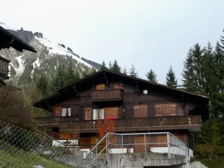 Location appartement à Lenk, Chalet Waldchutz - Wohnung Anax