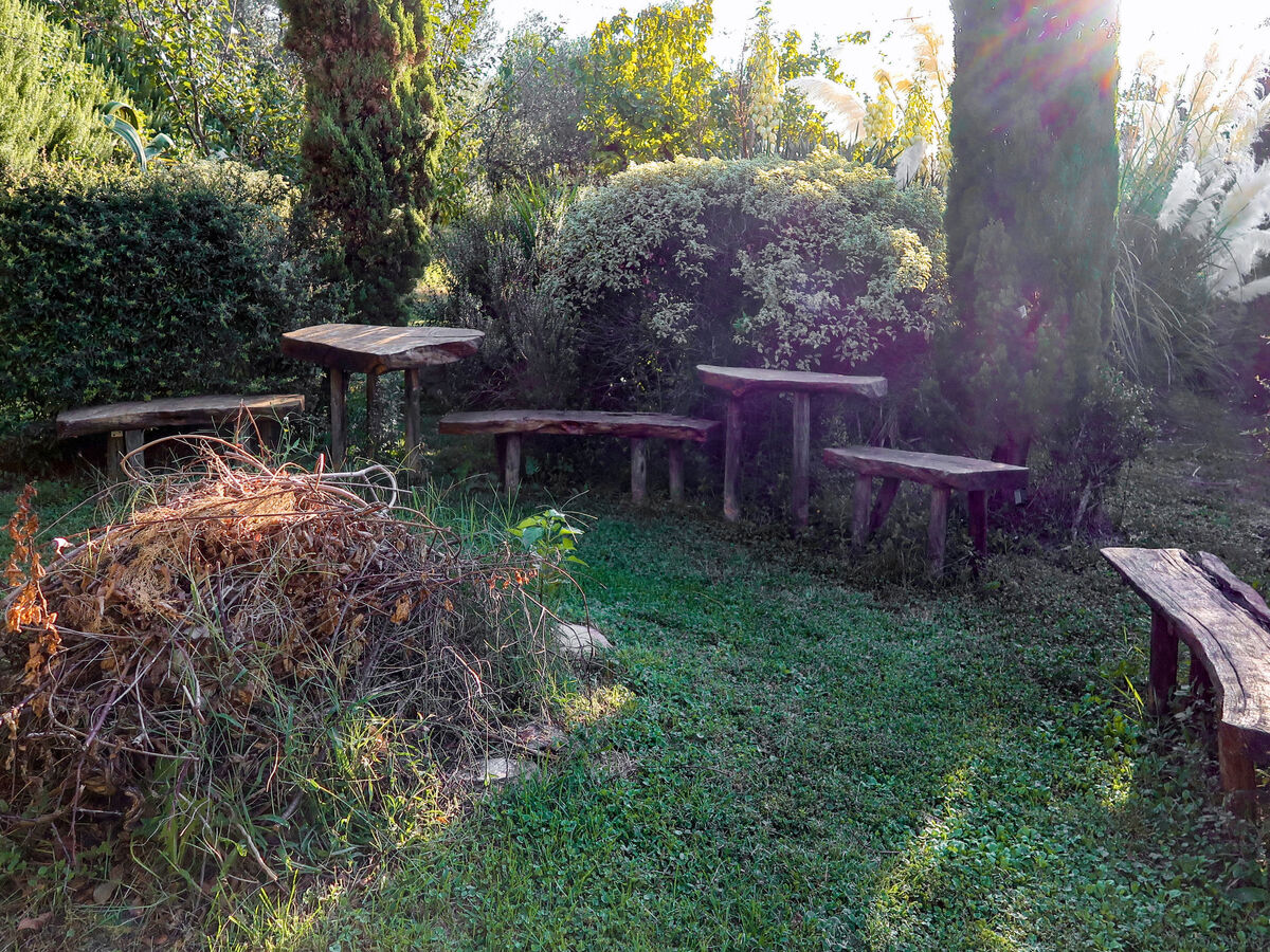 Glicine, appartement rustique 5 pers. à Vendone - Photo 18