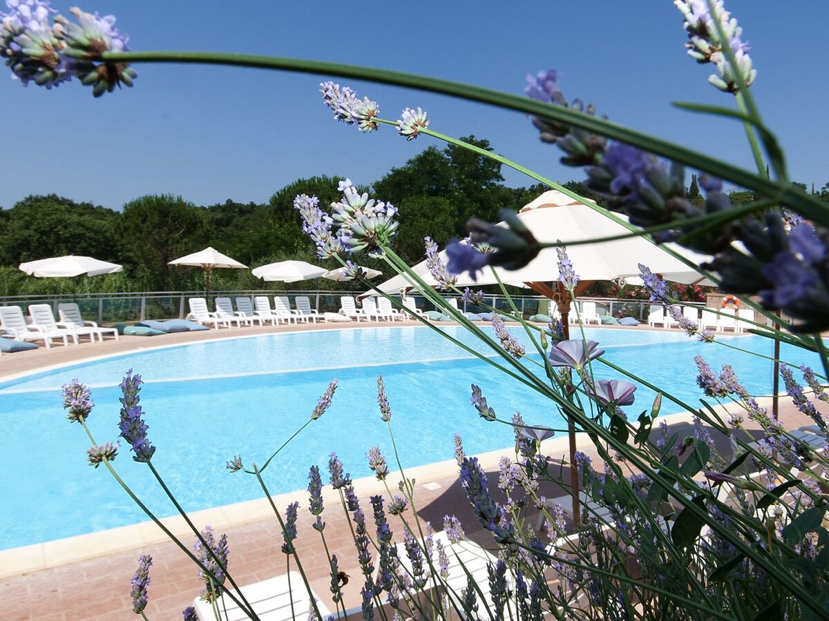 Il Borgo – Maison 2 pièces avec piscine à Guardistallo - Photo 12