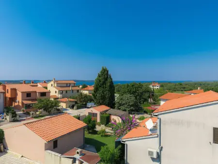 Villa Salamander 5 chambres avec piscine à Štinjan : photo 9