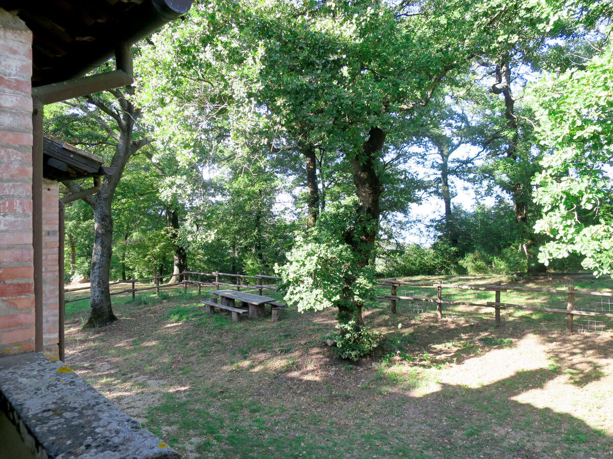 Appartement Vacanza L'Olivo – Paciano, piscine et jardin - Photo 21