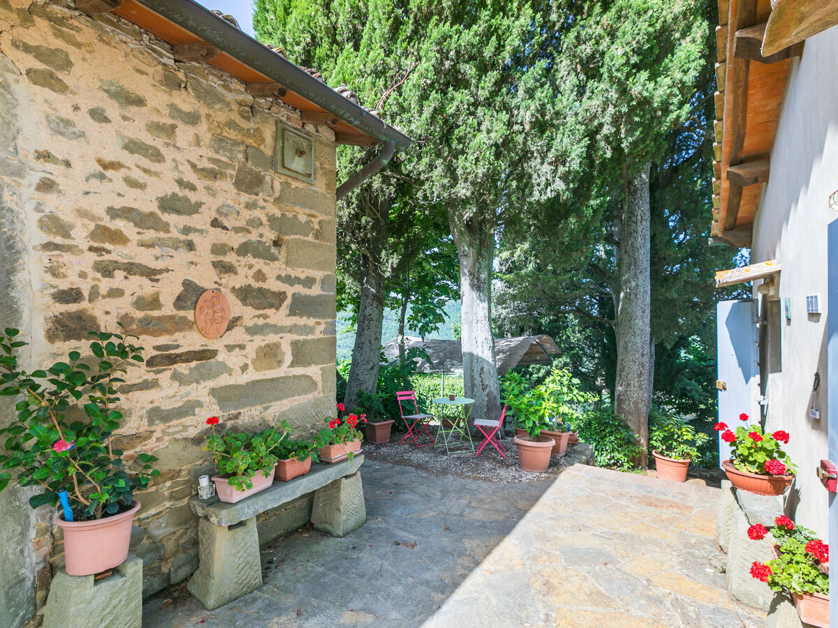 Ridaldi, gîte 8 pers. avec piscine à Greve in Chianti - Photo 29