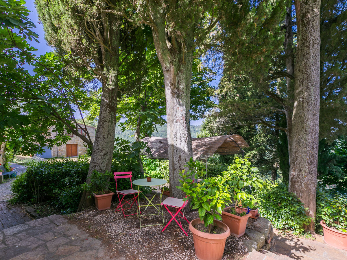 Ridaldi, gîte 8 pers. avec piscine à Greve in Chianti - Photo 65