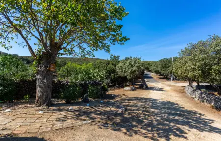 Maison 8 personnes à Punta Kriza - Photo 24