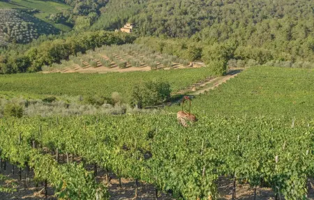 Sangiovese sup., Maison 4 personnes à Tavarnelle Val di Pesa - Photo 17