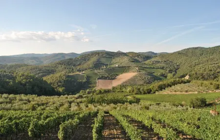 Sangiovese sup., Maison 4 personnes à Tavarnelle Val di Pesa - Photo 18