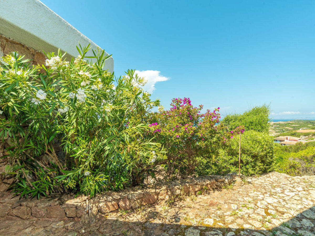 Sa Murta – Maison 7 pers. vue mer à Portobello - Photo 24