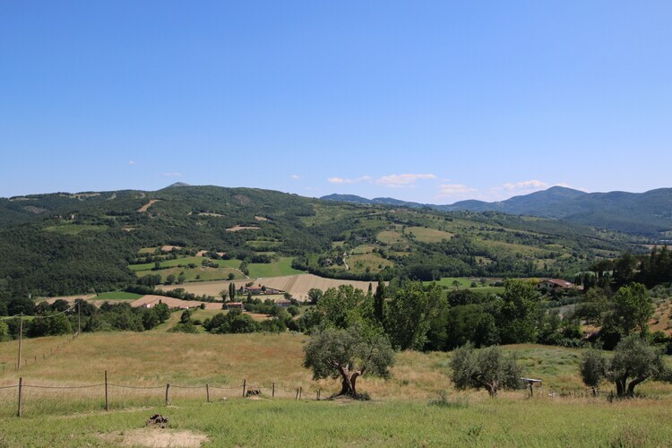 Gîte Alpaca à Umbertide, vue sur la vallée du Tibre - Photo 5