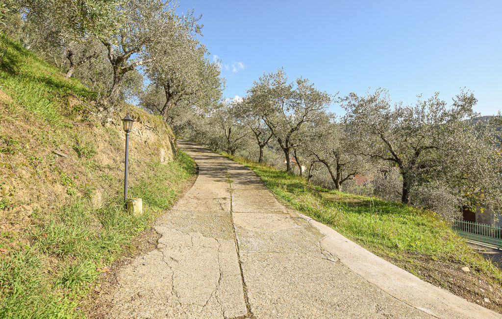 Villa Lavandaia Toscana – Maison 10 pers. avec piscine - Photo 33
