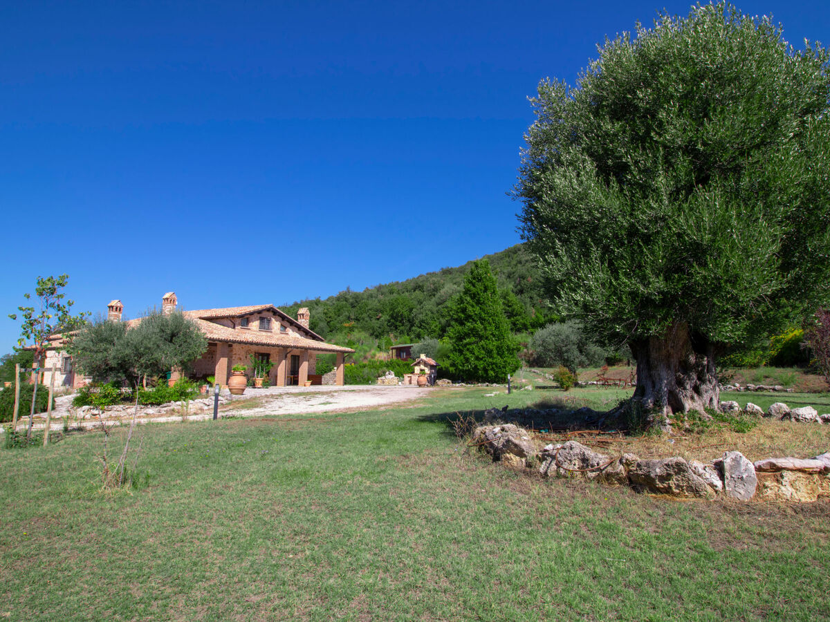 Villa La Danza à Todi : 10 pers, piscine 14x7m - Photo 21