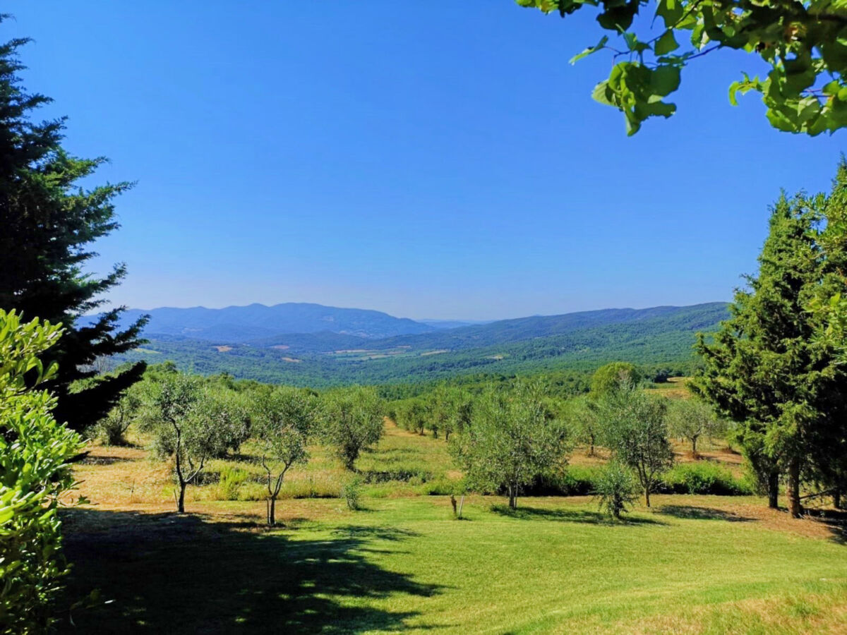 Al Vento, gîte 4 pers. avec piscine à Monteverdi Marittimo - Photo 8
