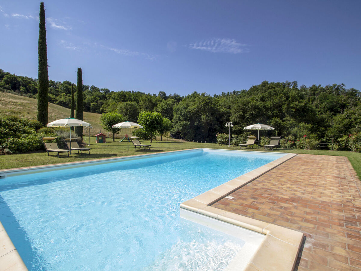 Gîte Podere, domaine Filicaia – San Giovanni Valdarno - Photo 2
