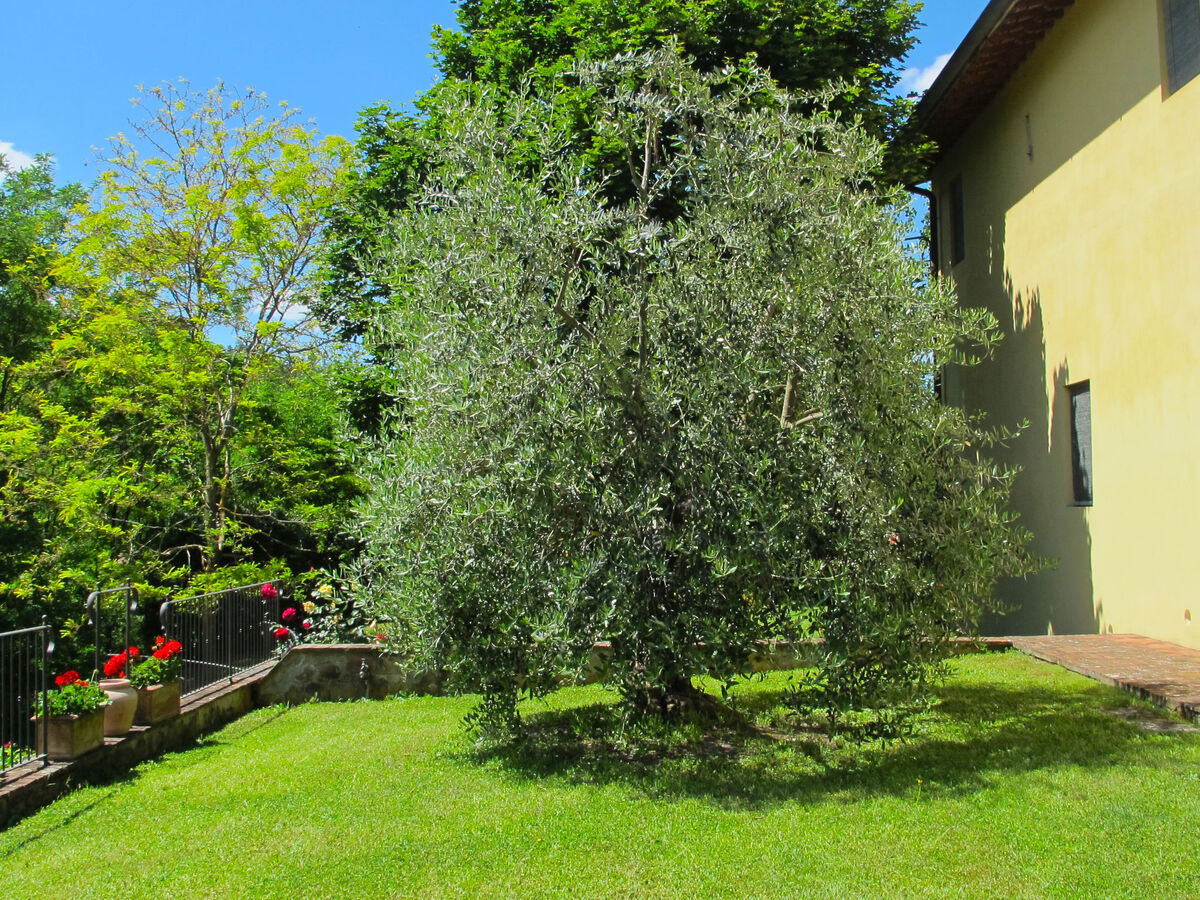 Gîte Podere, domaine Filicaia – San Giovanni Valdarno - Photo 68