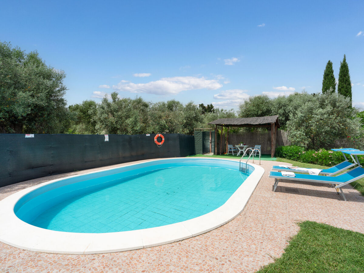Villa Bouganville à Bibbona avec piscine et jardin - Photo 7